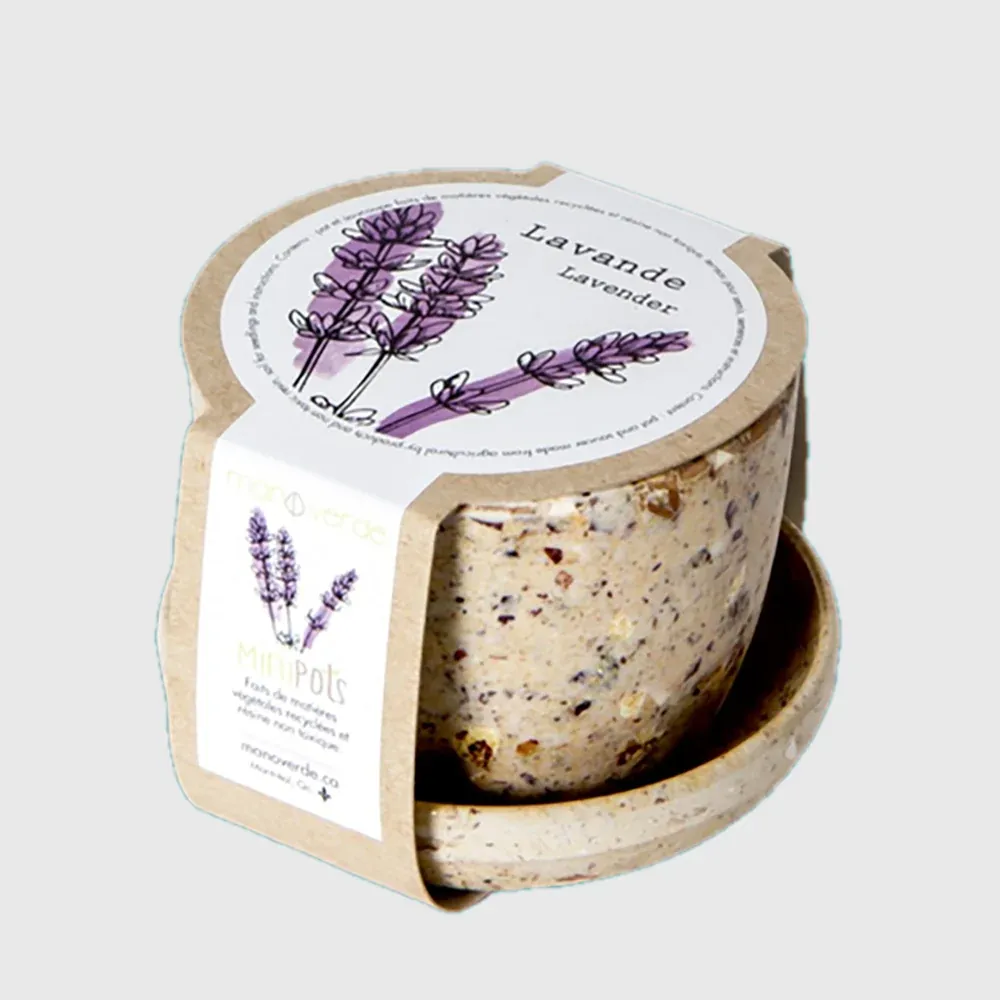 Minipots : Lavande