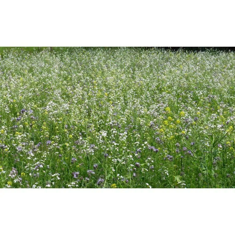Mélange d'abeilles (1 ) 1kg