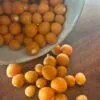 Tamarillo nain