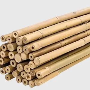 Tuteur en bambou 6 pieds - Bamboo stakes 6 ft long