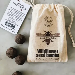 Boules de graines de fleurs sauvages indigènes