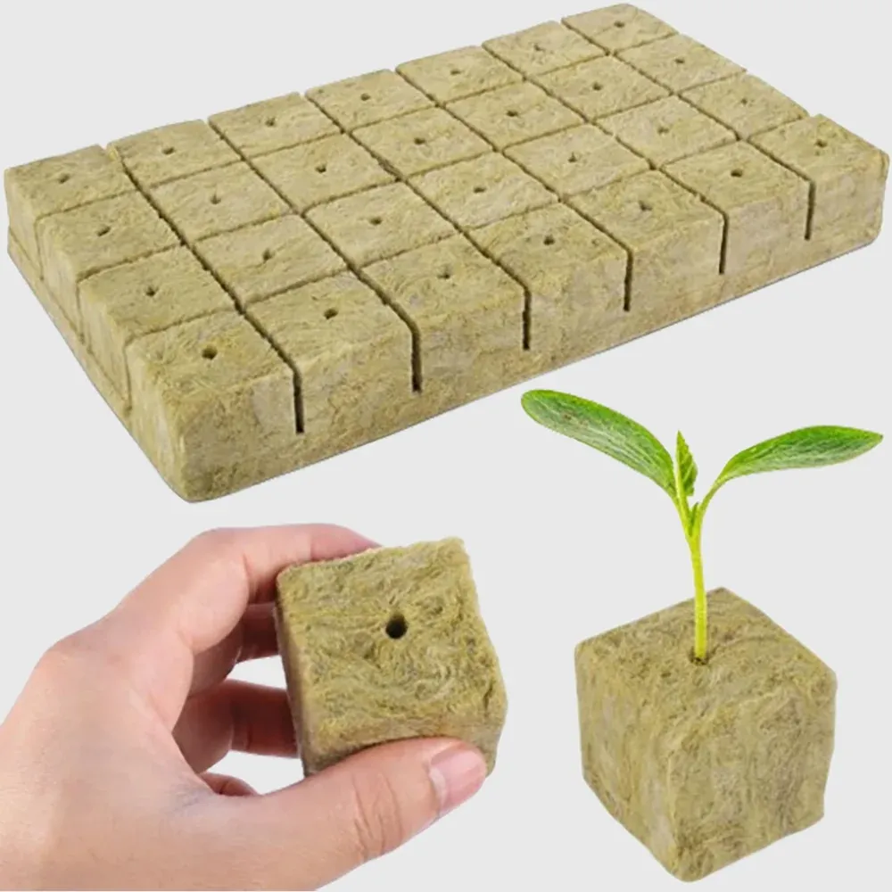 Cubes de laine de roche - 50 unités