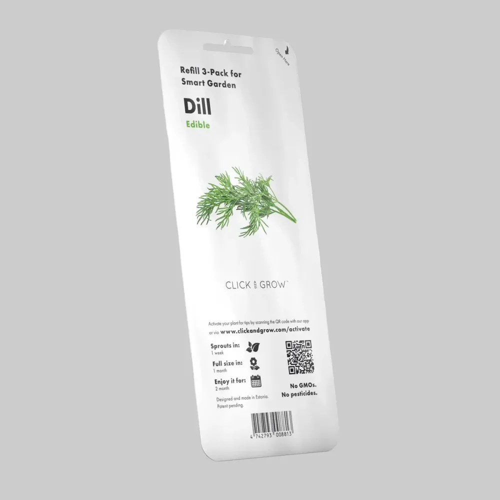 Gousses de plantes de Aneth