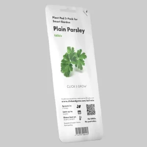 Gousses de plantes de persil plat