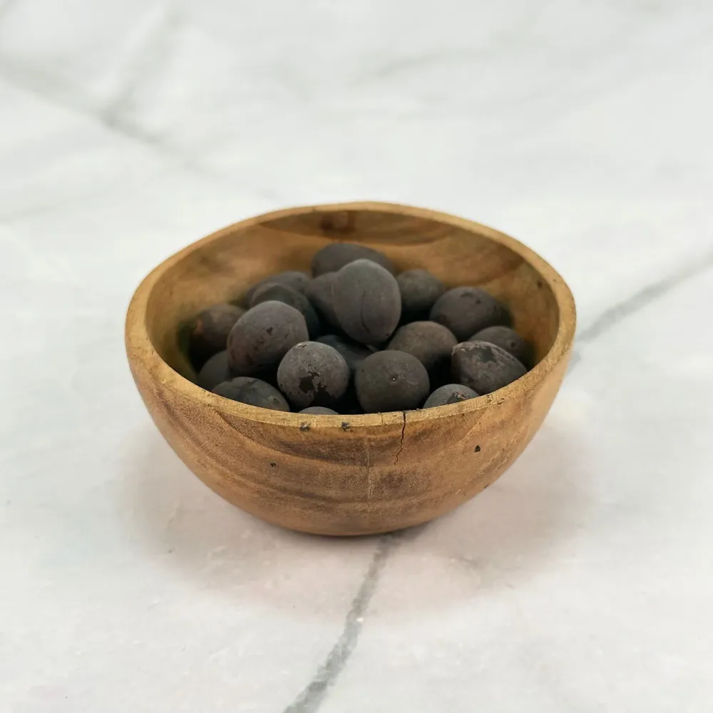 Graine de Lotus
