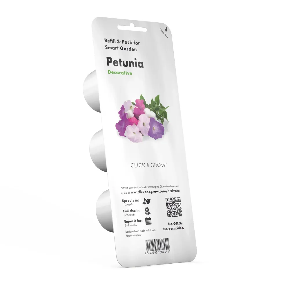 Petunia Plant Pods - ClicknGrow