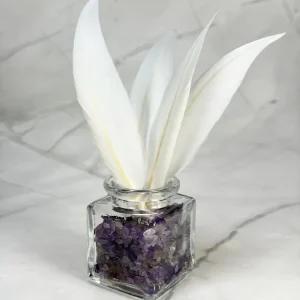 Plume d'oie blanche