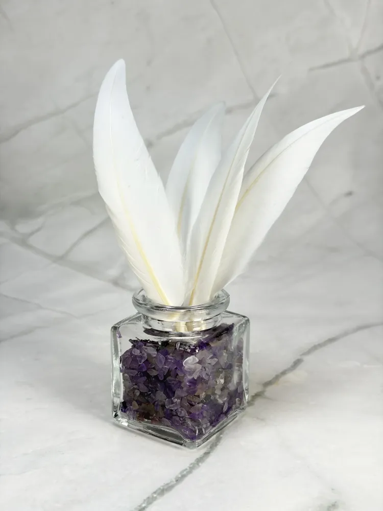 Plume d'oie blanche