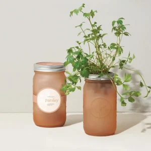 Pot de jardin hydroponique modern sprout - plain color