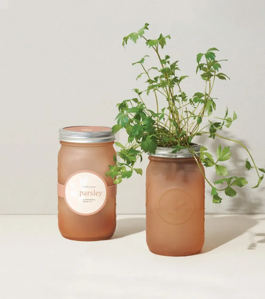 Pot de jardin hydroponique modern sprout - plain color