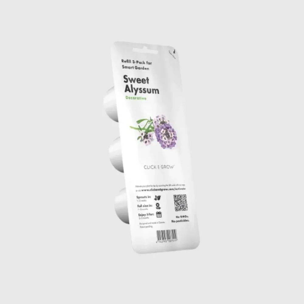 Sweet Alyssum Plant Pods - ClicknGrow