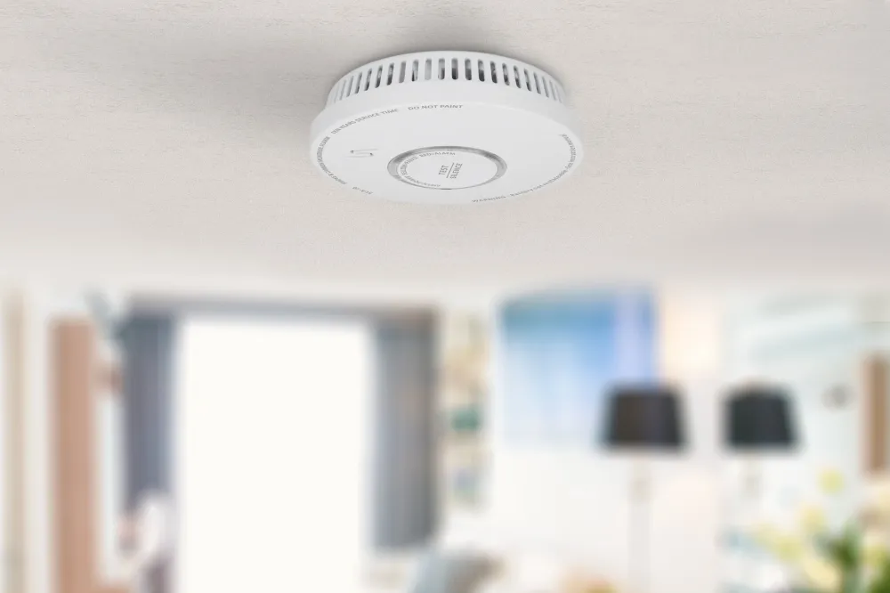 Alecto SDX10 - Pack détecteur de fumée et de monoxyde de carbone - Blanc