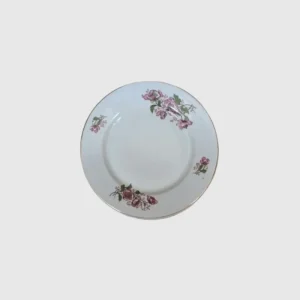 6 ASSIETTES PLATES