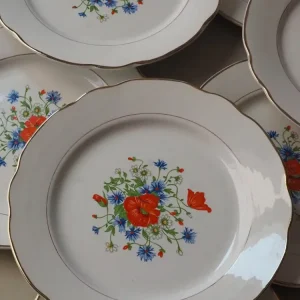 Assiettes plates Digoin
