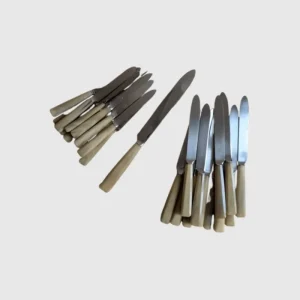 25 COUTEAUX EN CORNE & INOX