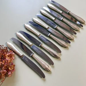 Couteaux inoxydables- lot de 12
