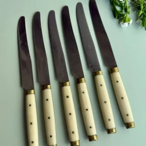 Couteaux LAVinox - lot de 6