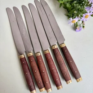 Lot de 6 couteaux à manche en bois